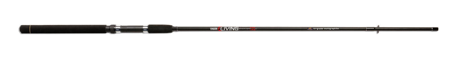 Lansetă spinning Lineaeffe Vigor Living Rod 2,70m 30g 2 tronsoane 6 inele