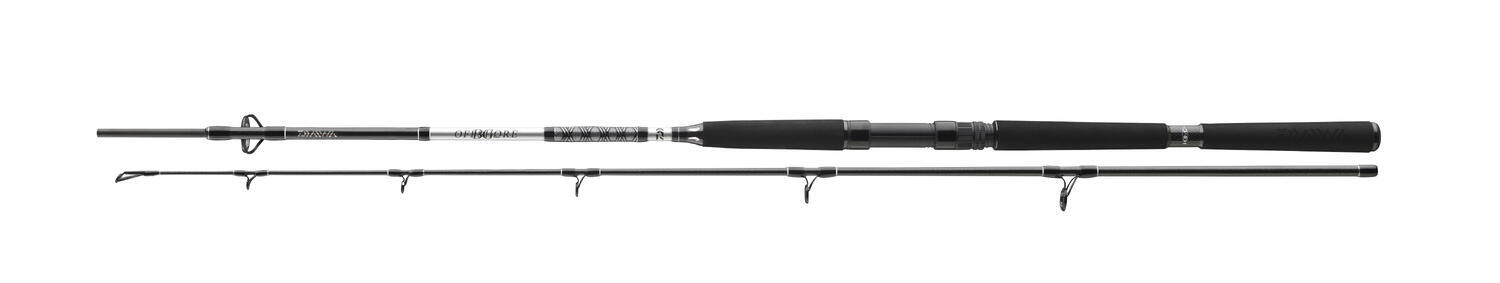 Lansetă spinning Daiwa BG Offshore 2.40m 2 tronsoane 50-165g